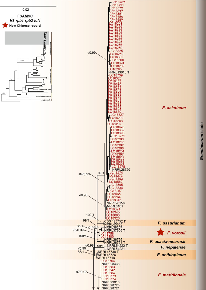 Fig. 12.