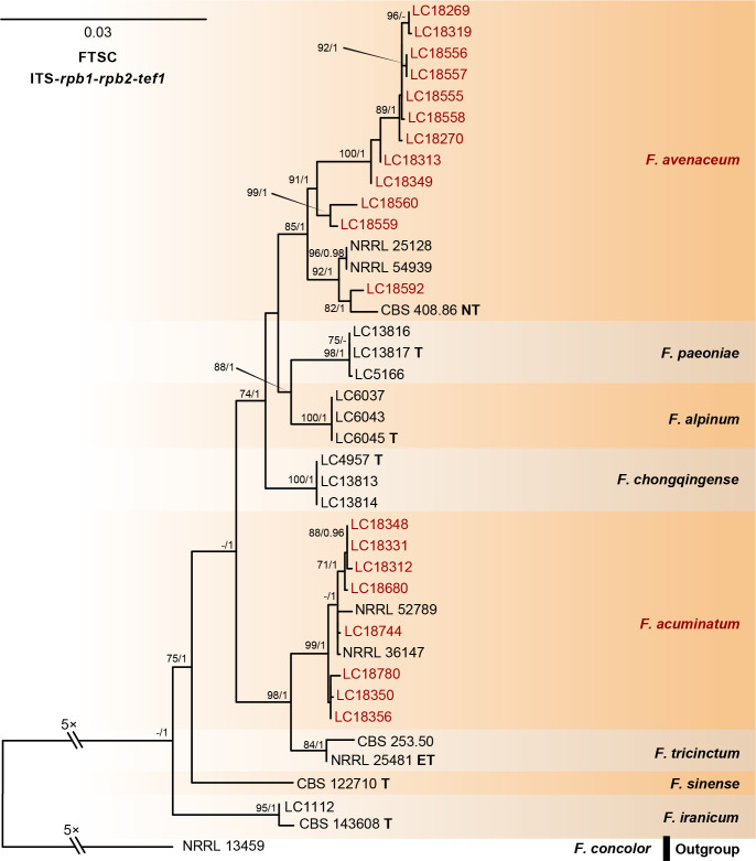 Fig. 13.