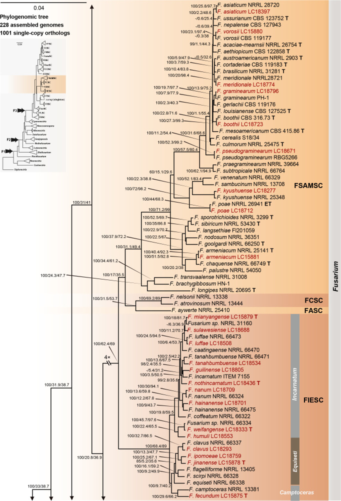 Fig. 14.