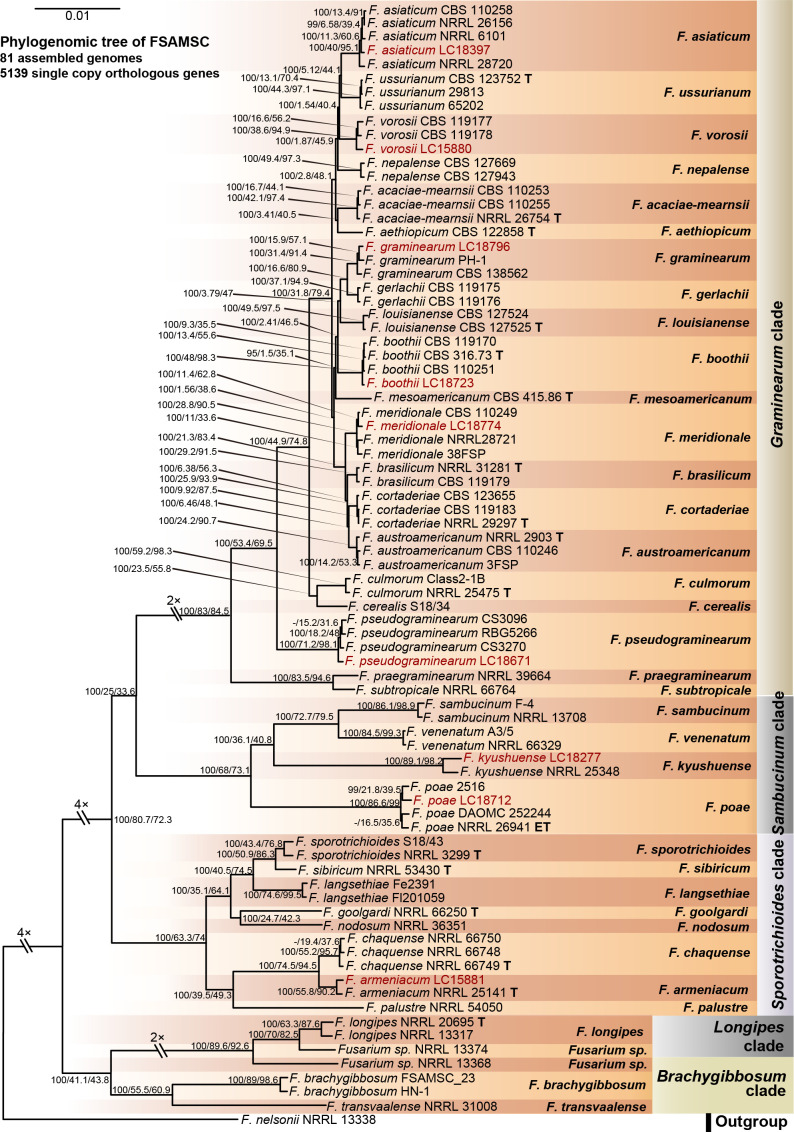 Fig. 15.