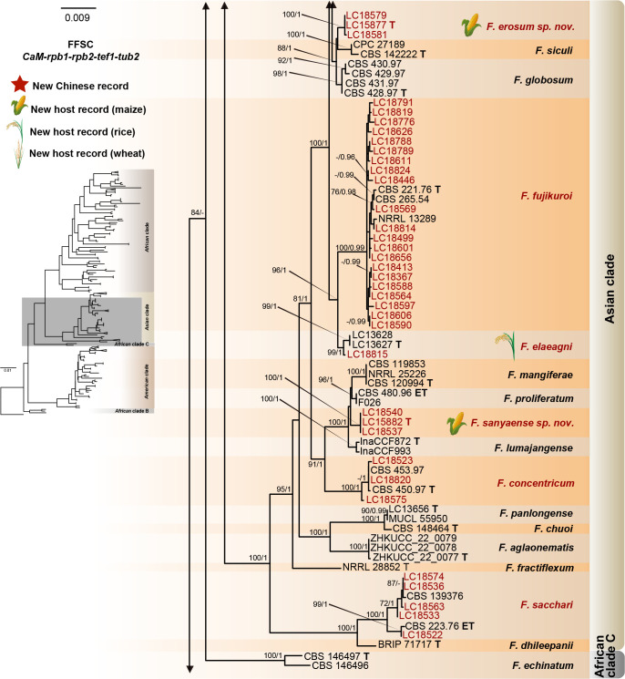 Fig. 8.