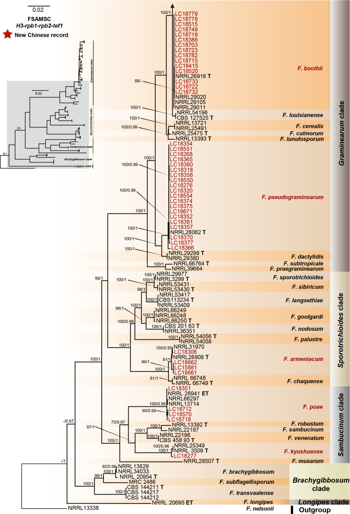 Fig. 12.