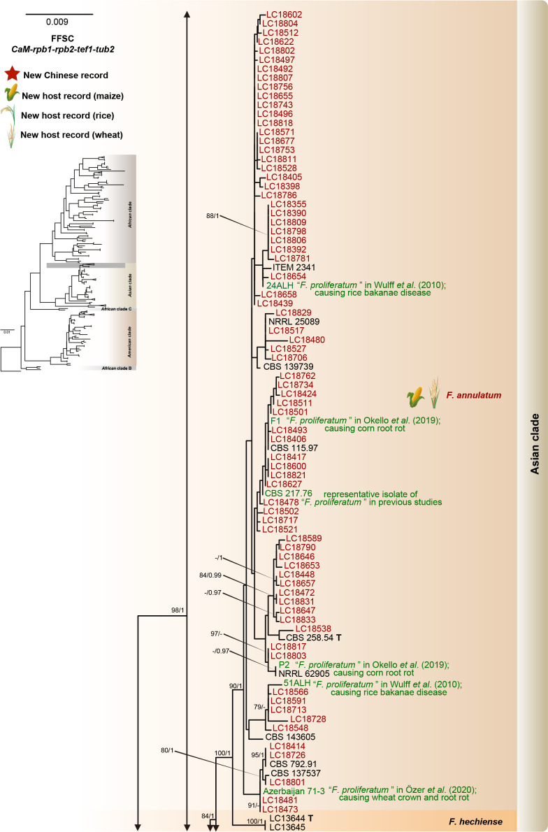 Fig. 8.