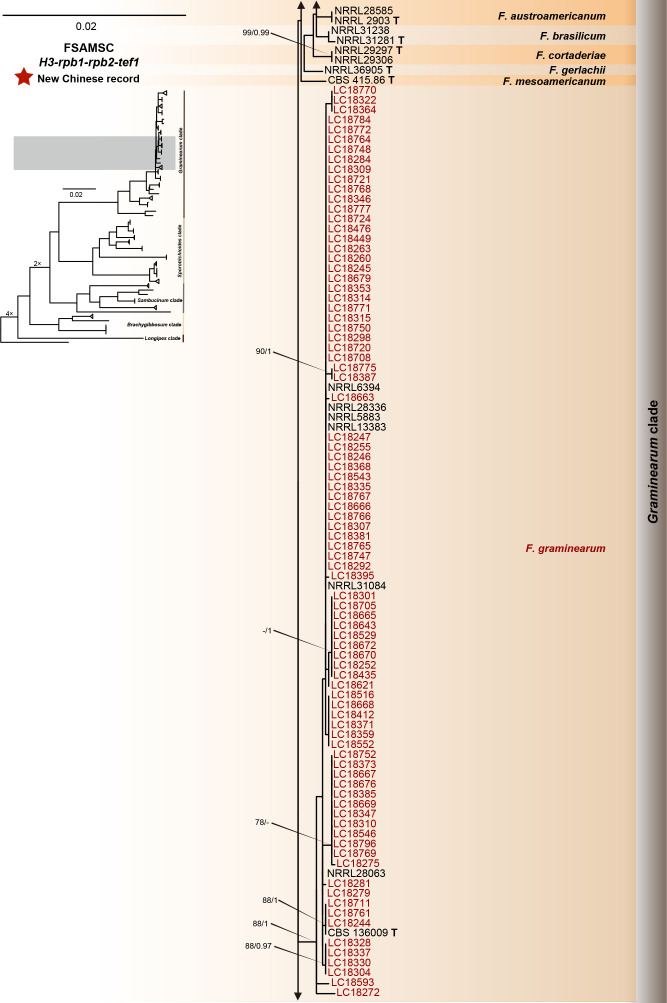 Fig. 12.