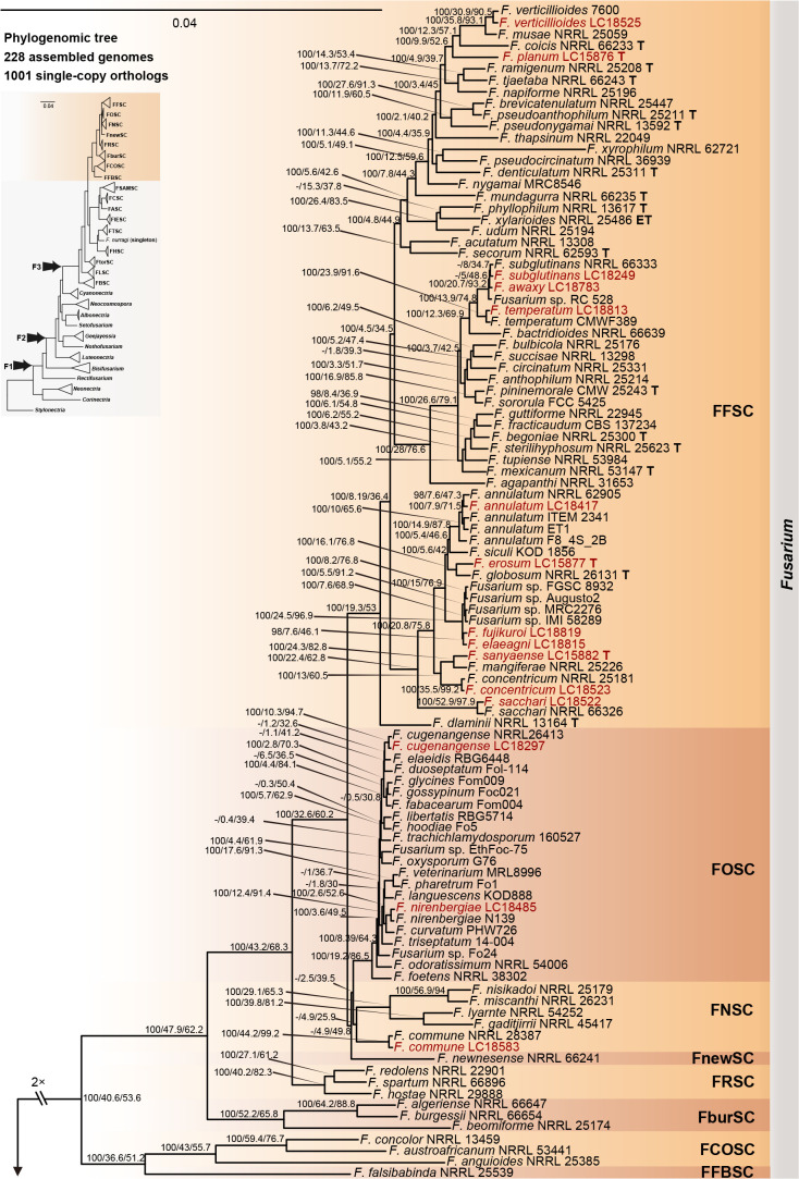 Fig. 14.