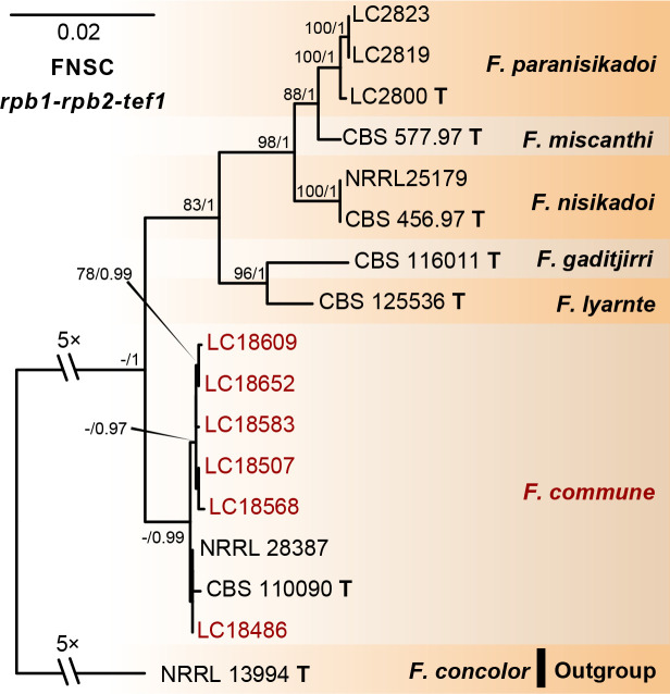 Fig. 10.