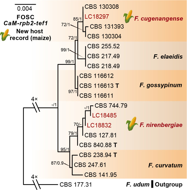 Fig. 11.