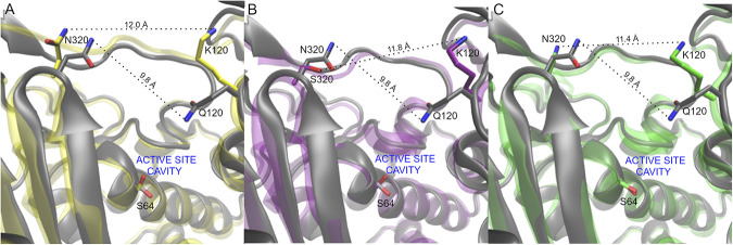 FIG 5