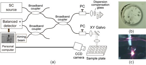 Fig. 1