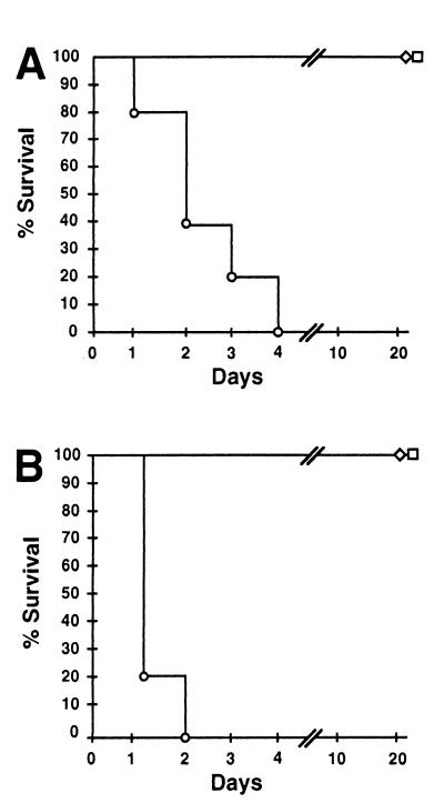 FIG. 5