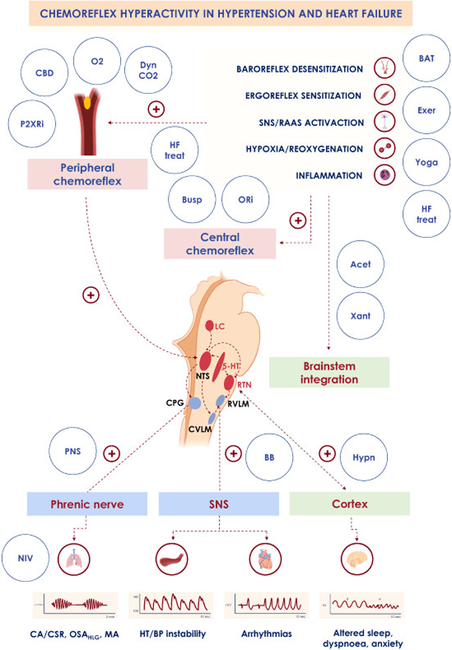 graphic file with name nihms-1969688-f0001.jpg