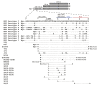 Figure 1—figure supplement 1.
