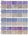 Figure 3—figure supplement 3.