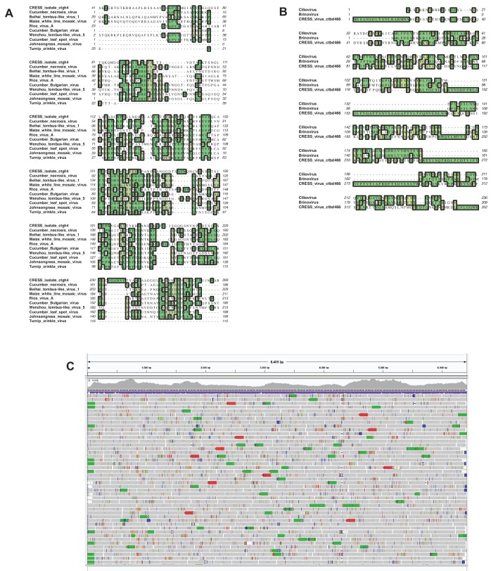 Figure 4—figure supplement 2.