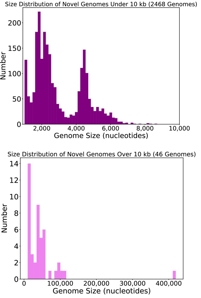 Figure 1—figure supplement 2.