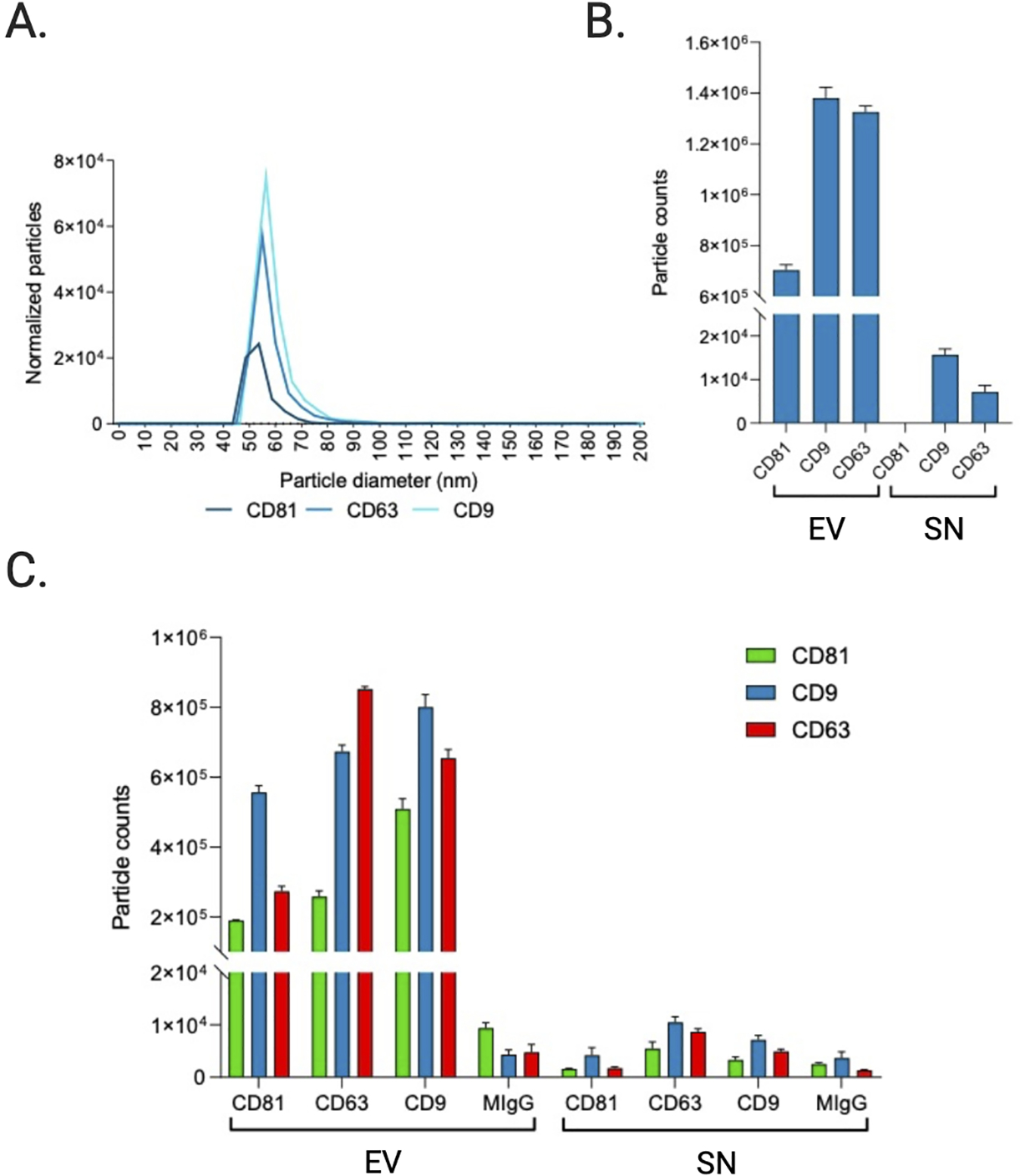 Figure 6.