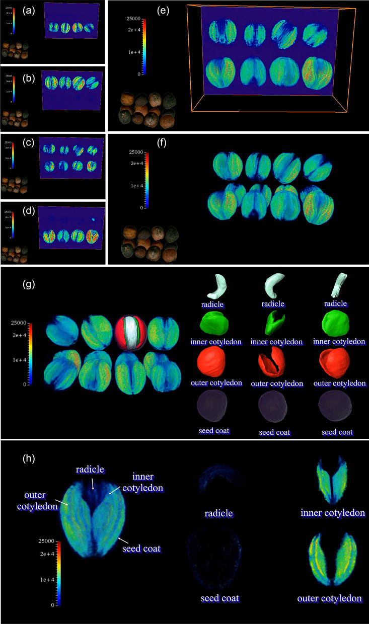 Fig. 2