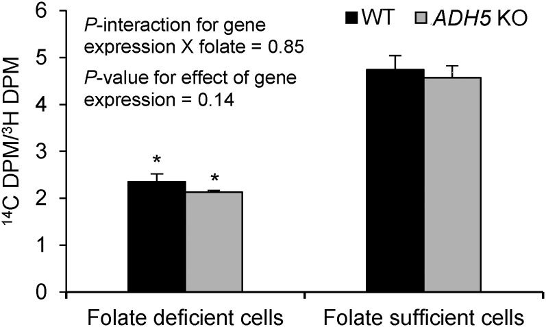 FIGURE 3