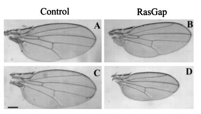 FIG. 5