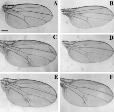 FIG. 6