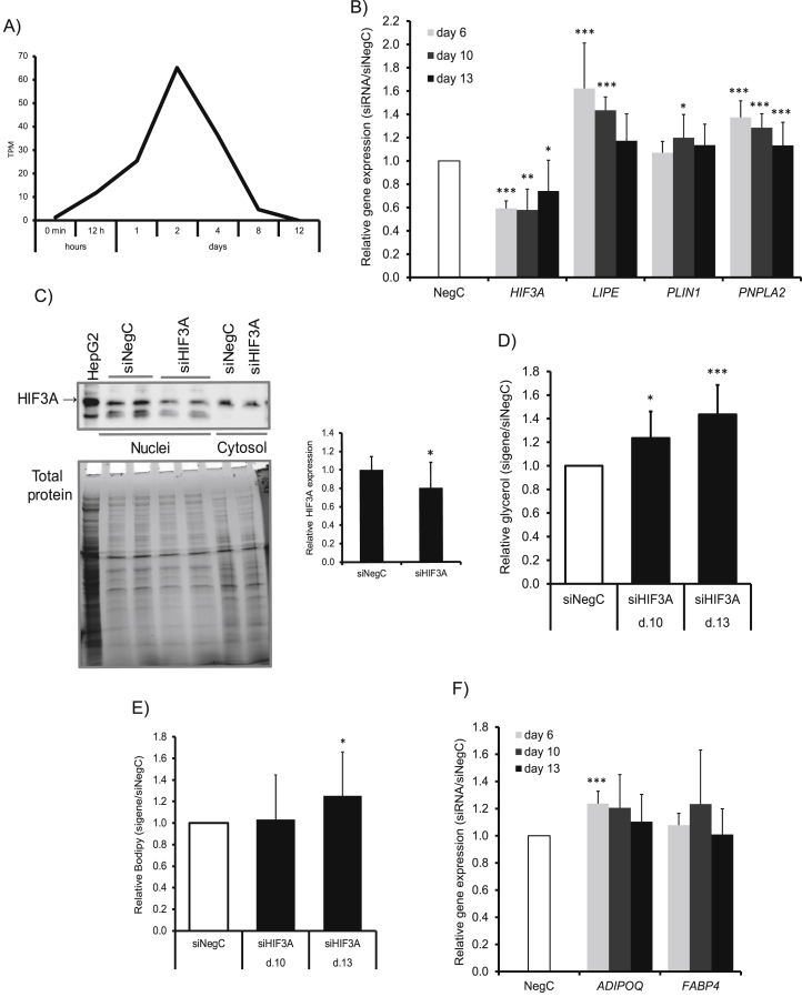 Figure 4