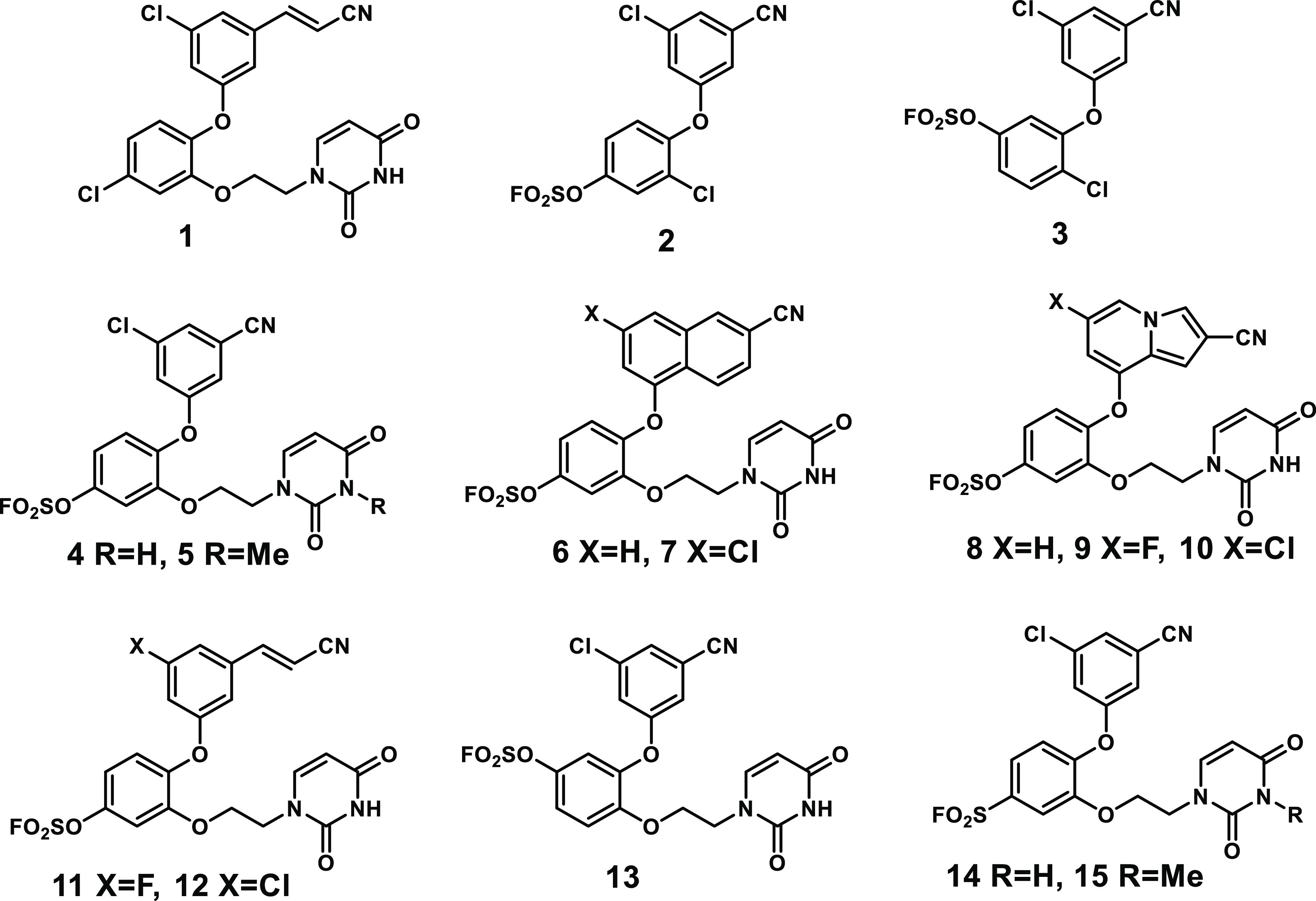 Figure 2