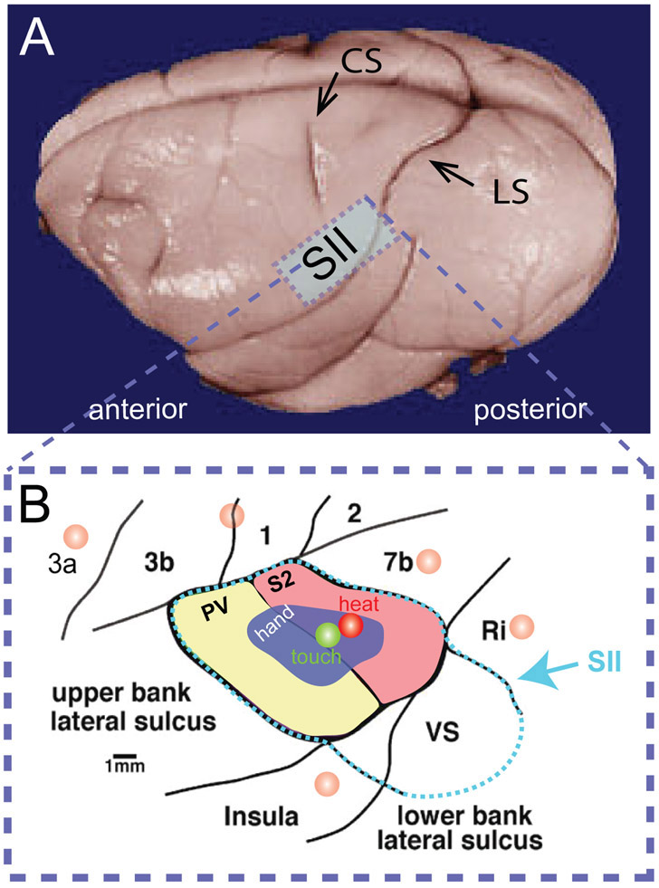 Figure 9.