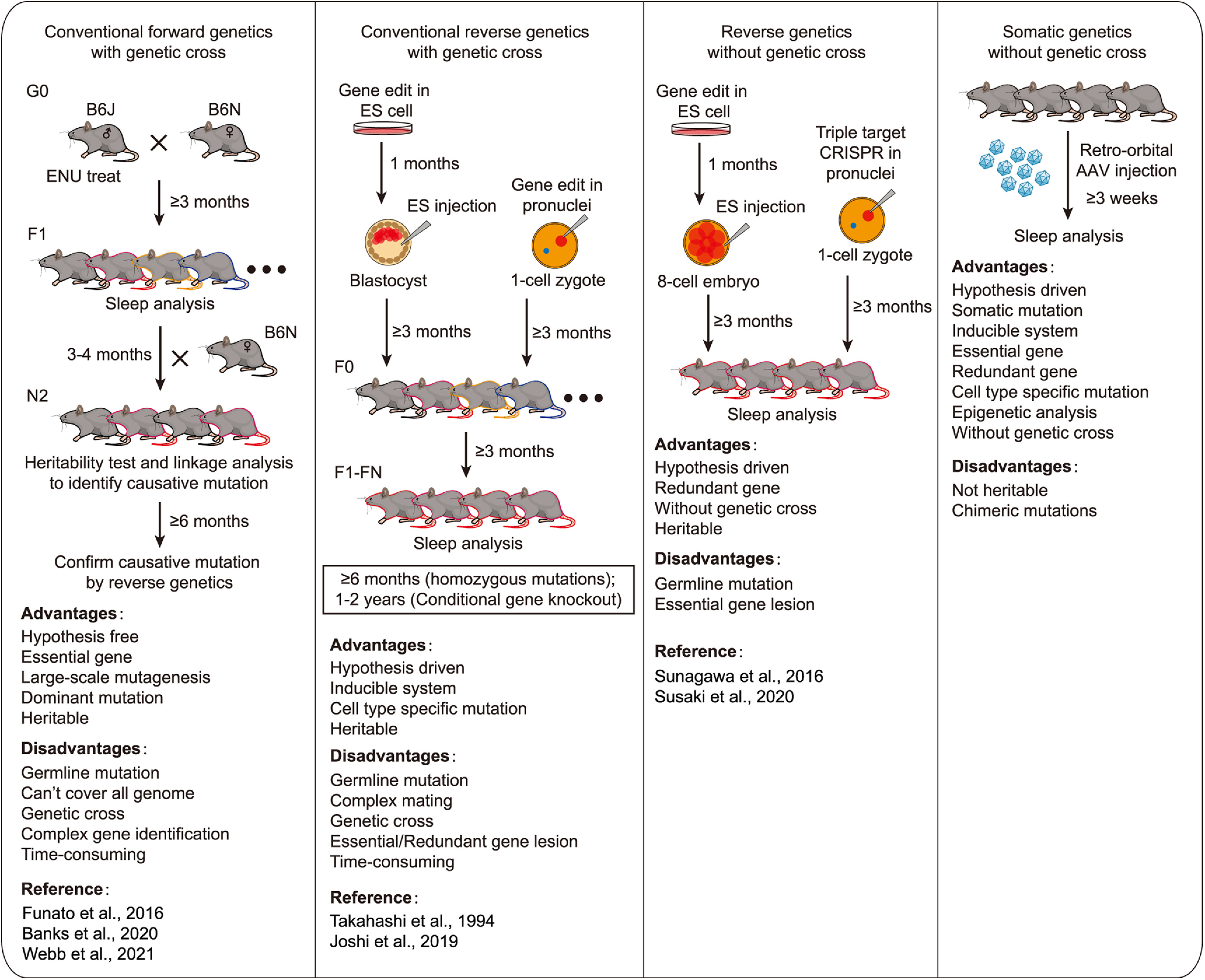 Figure 13.