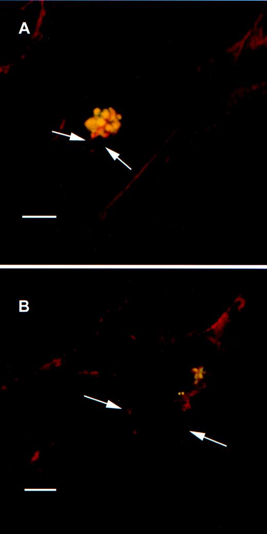 FIG. 8