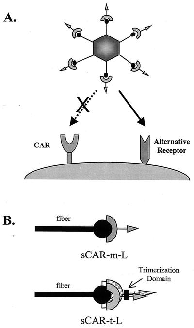 FIG. 1.