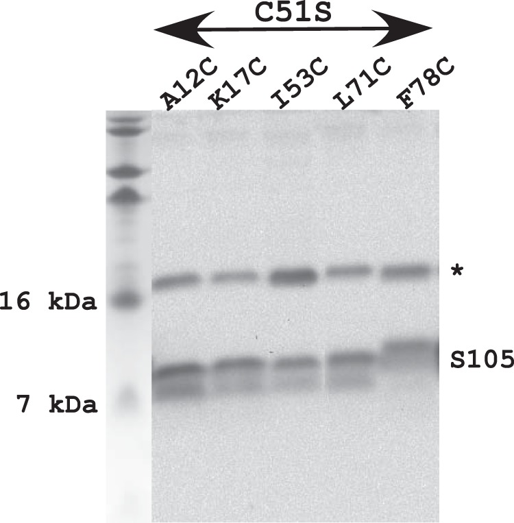 FIG 3