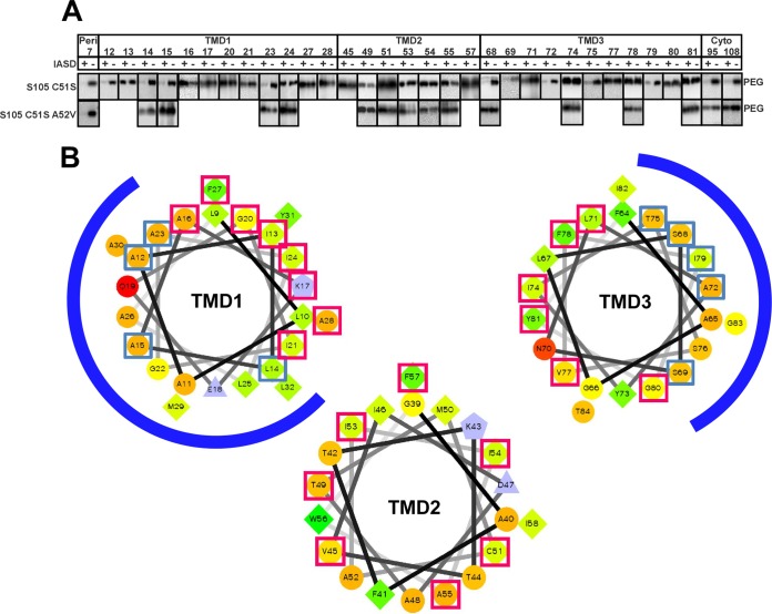 FIG 4