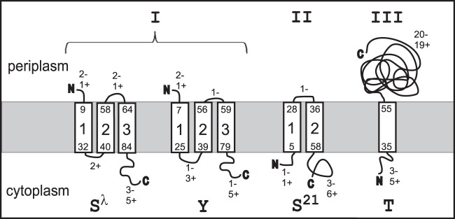 FIG 1