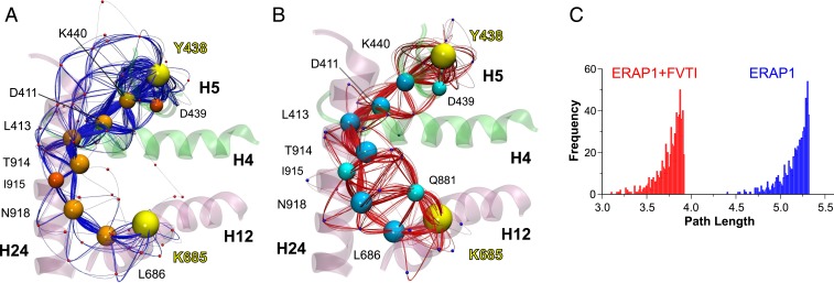 Fig. 5.