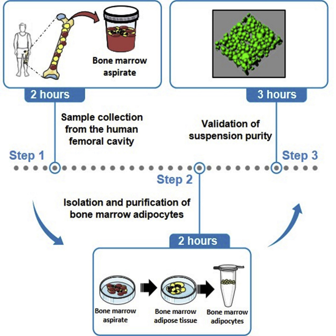 graphic file with name fx1.jpg