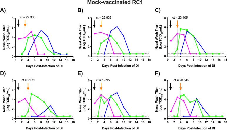 Six graphs display nasal wash titers over days post-infection for transmission chain experiments using mock-vaccinated ferrets as the intermediate contact. Color-coded lines represent viral loads for individual animals at the indicated time points.