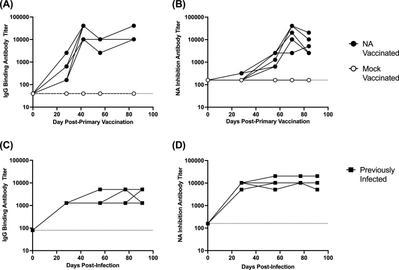 Line graphs depict IgG binding and NA inhibition antibody titers generated in response to vaccination for NA-vaccinated versus mock-vaccinated groups. Graphs depict similar titers post-infection in previously infected individuals.