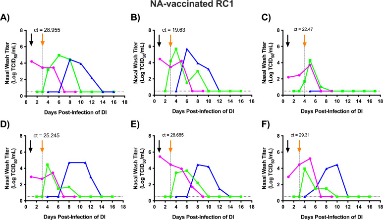 Six graphs depict nasal wash titers over days post-infection for transmission chain experiments using NA-vaccinated ferrets as the intermediate contact. Color coded lines indicate viral loads for individual animals across time points.