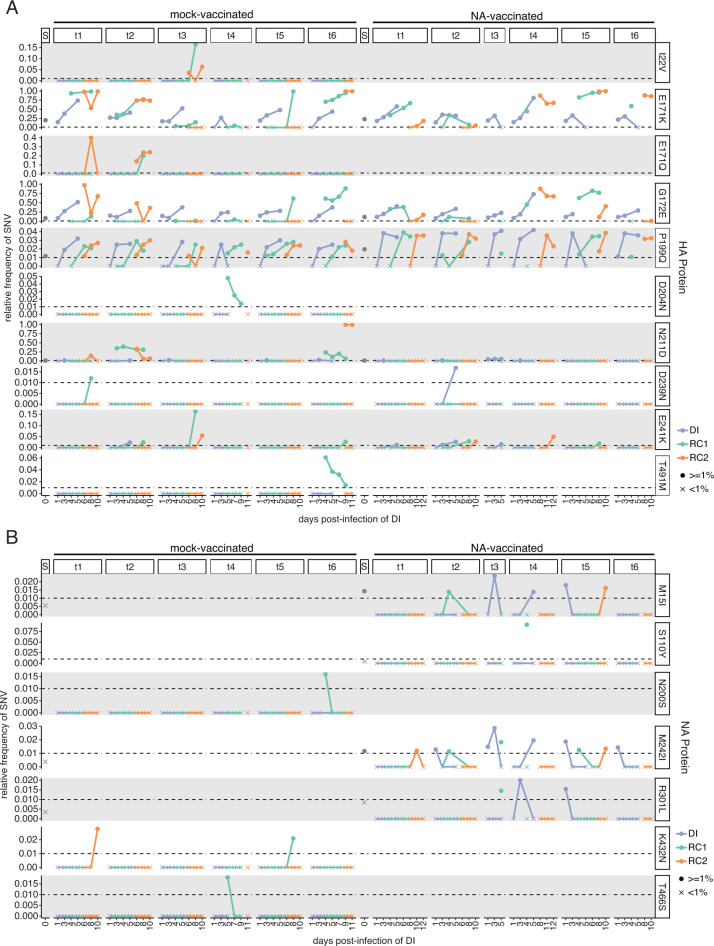 Line plots depict relative frequency of SNVs in HA and NA proteins over days post-infection in mock-vaccinated and NA-vaccinated ferrets, comparing different time points and SNVs across different groups.