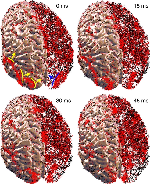 Fig. 6.