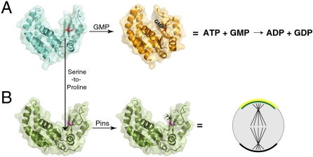 Fig. P1.