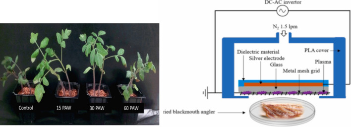 Fig. 22