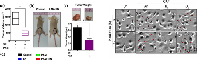 Fig. 25