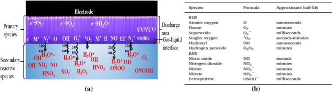 Fig. 12