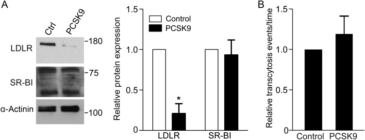 Figure 5