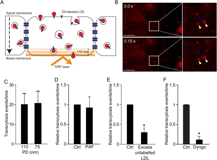 Figure 4