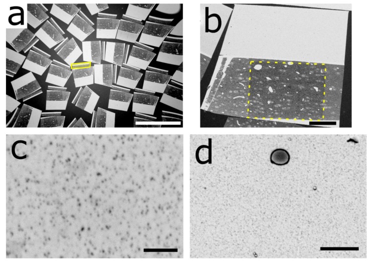 Figure 1—figure supplement 2.