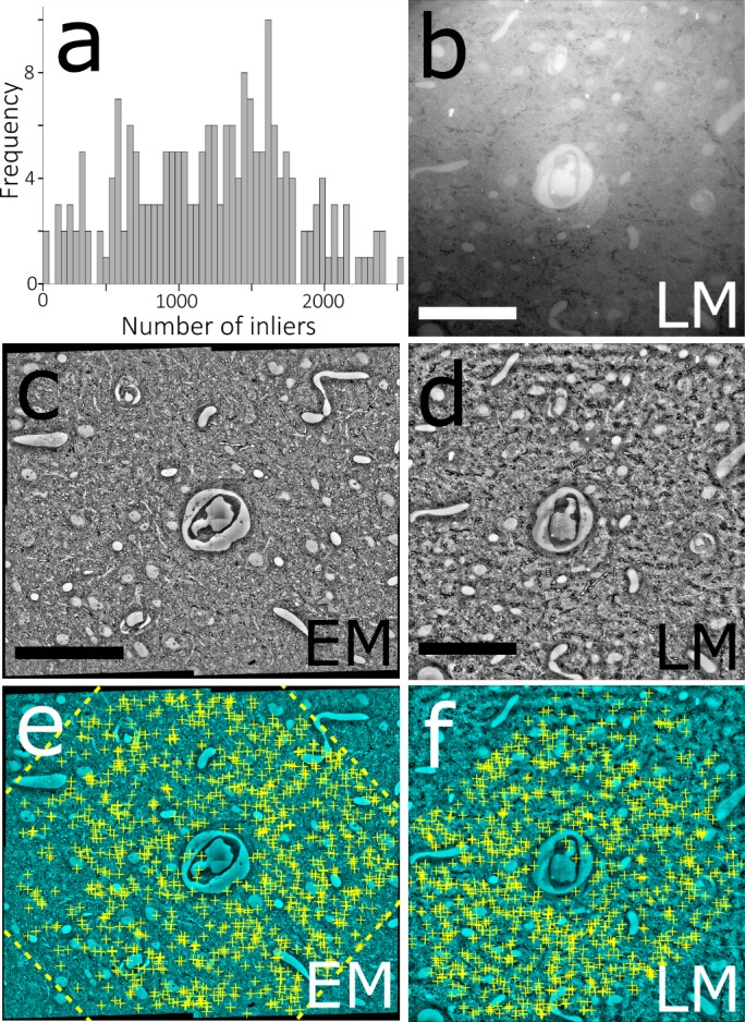 Figure 2—figure supplement 2.