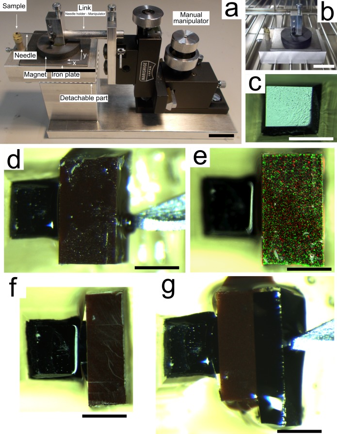 Figure 1—figure supplement 3.