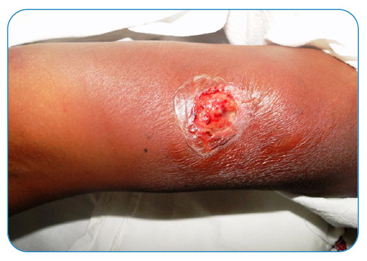 FIGURE 5: